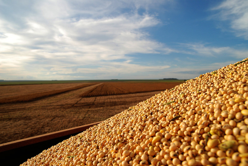 137银河galaxy(浏览器)官网 - APP下载入口