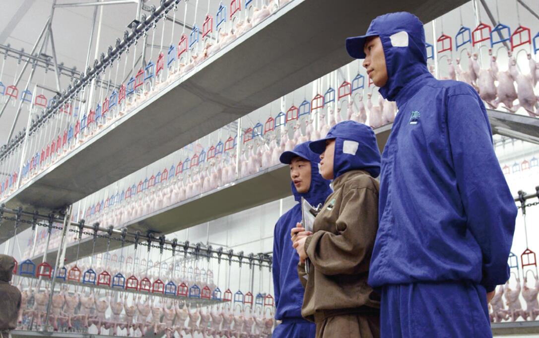 137银河galaxy(浏览器)官网 - APP下载入口