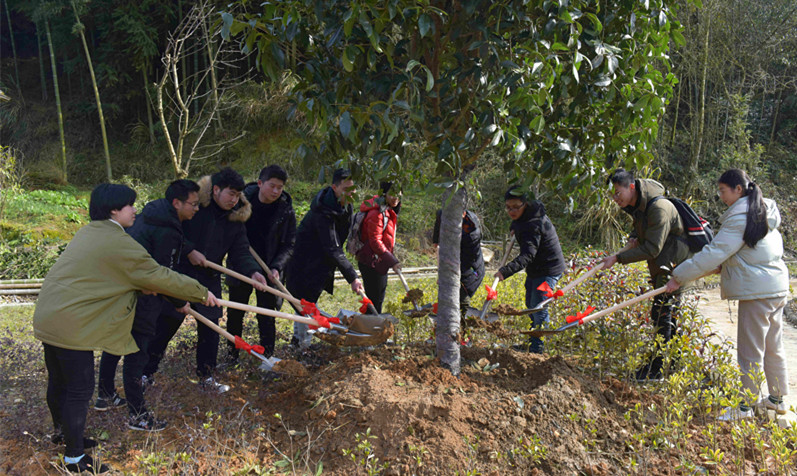 137银河galaxy(浏览器)官网 - APP下载入口