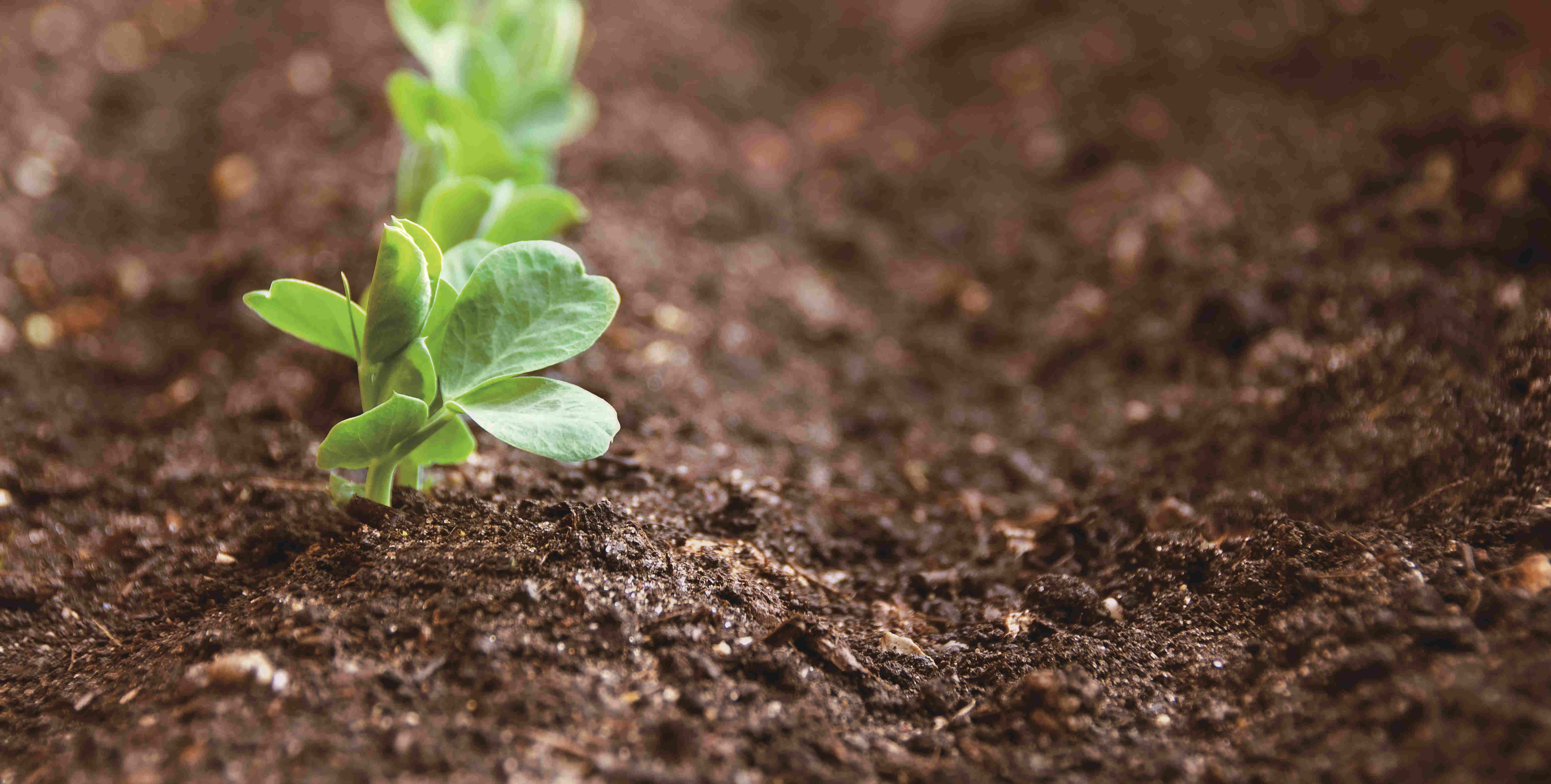 137银河galaxy(浏览器)官网 - APP下载入口