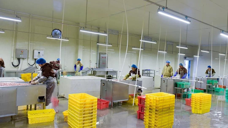 137银河galaxy(浏览器)官网 - APP下载入口